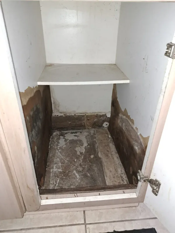 Cabinet Repair — before
