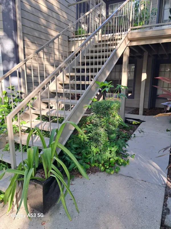 Landscaping — before