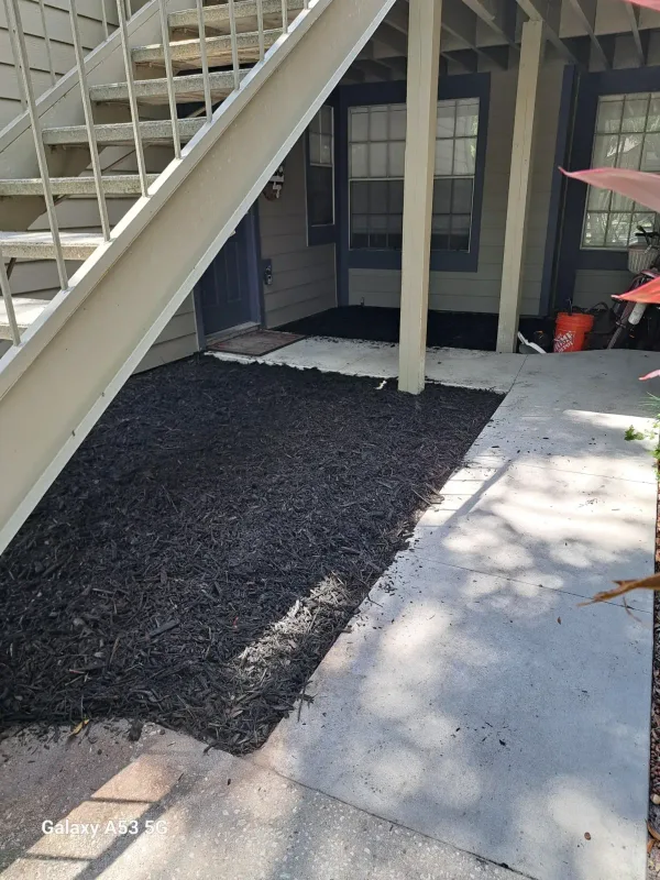 Landscaping — after